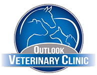 Veterinarians Outlook | Outlook Veterinary Clinic